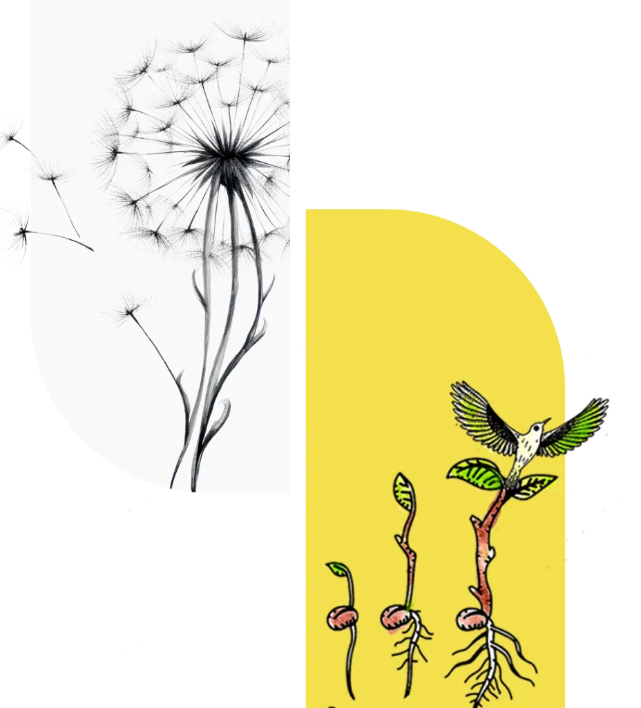 seedmind-innovazione-ai-servizi-imprese